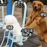[군대] 음정팀에서 짤줍한 거
