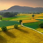 <b>Energy</b> is Life.