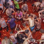 얘들아 스페인 토마토축제 절대 가지마