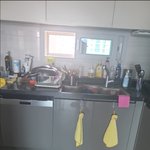 1층 <b>화단</b>에서 싸늘하게 발견된 우리 강아지....