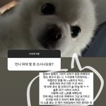 [19] 와 13호 <b>파데</b>가 까맣대....