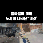 <b>킬링</b>로맨스 움짤