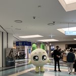 <b>목동</b>에서 쿵야보고 왔네요 ㅋㅋ