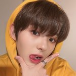 보플 히로토 닮은꼴