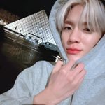 [NCT드림] <b>하아</b>아암~ 강쥐 보고싶다