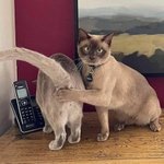순간 <b>포착</b> 웃음 터지는 장면