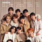 특이점이 온 세븐틴 내 형제케미 조합