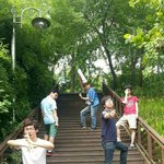 남자 2미터랑 여자 185랑 같은 수준인데