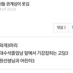 개웃기다 개노조 <b>웅장</b>한 관계성