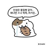 [댓글부탁해] 나 짝남이랑 가망 없다고 봐도 되냐
