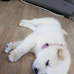 [드루와] 미모 대결 누가 더 나음?