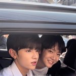 내 <b>최차</b>애 조합 손 잡고 데뷔해줘