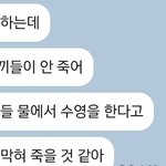 너네도 <b>쌀</b>에서 벌레 나와?