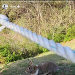 [방탄소년단] <b>남주</b>니 정구기 만났네