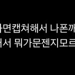 개<b>노조</b> 이거 개웃김
