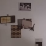 [도재정] 과거부분 <b>여주</b>랑 파리간거보면