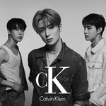 [도재정] 어그로 신고 부탁해