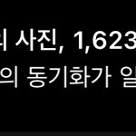 니네 갤러리 사진 몇<b>장임</b>