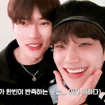 투<b>빈즈</b>도 좋아