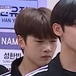 나만 이번에 ㅅㅁㅌ 좋아짐?