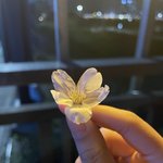 [이것좀봐줘] 요즘 거의다 <b>연애</b>하는거 같아
