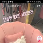 강아지 <b>붙임</b>머리 어떻게생각하세여?ㅜ