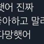 보플 처음엔 개망느낌 났는데