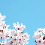 [댓글부탁해] 이런사람 <b>멀리</b>하는건 당연한거지?