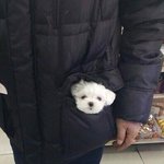 [드루와] 성인판녀들아 너네 ㄷㅍ핌?