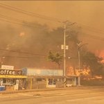 [속보] 학생들 수업중 긴급 대피… 불길 번져 경포대·<b>사찰</b> 등도...