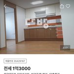 친구랑 자취할 건데 어땡