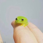 너희 기준 남자 키 개작음 기준 몇 <b>cm</b> <b>이하</b>임?