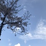 [드루와] <b>팝송</b> 많이 듣는애들아 노래 좀 찾아줘..