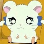 전교 1등이랑 싸웠는데 이거 온전히 내 잘못이야??