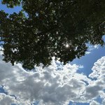 [NCT드림] <b>휴스턴</b> 날씨 좋다