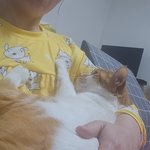 나의 동거묘 <b>도칠</b>이는 집사를 너무 사랑한다..