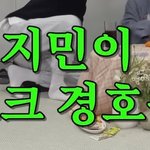 <b>핑계</b>고 지민이 지키는 유재석ㅋㅋㅋ