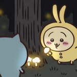 근데 ㅌㅎ팬이 애교부탁하니까 <b>지들</b>도 음악가라고