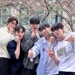 단체 벚꽃 사진 올려준 C9 아이돌들