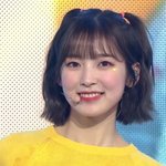 짤하나 <b>아린</b>