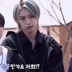 오늘 장<b>슈</b>아이보