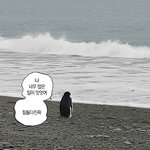 [댓글부탁해] 너네는 스스로 생각하기에 <b>불안</b>도 몇이야?