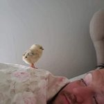 너희 너무 <b>힐링</b>된다