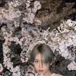 장<b>슈</b>아이보 인스타 뜸