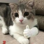 [드루와] 아이돌들 논란 터질때 <b>마다</b> 궁금한건데