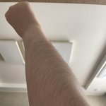 [댓글부탁해] 살면서 털 나보다 많은 사람 본 적 없음