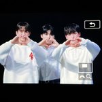 개노조 사진에서 <b>개털날림</b>