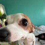 대체 대학교에서 19컨셉 걸그룹은 왜 부르는거임…