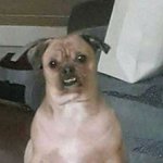 <b>설마</b> 데뷔조에 윤석케 들어간 거 아님?