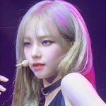 카리나 <b>이사진</b> 약간